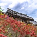 핫플(hot places)