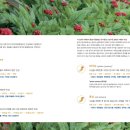 인삼의 미래(GNF)