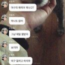 다연김밥 | 모음집