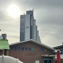 진흥초교 병설유치원 | 교사 상호작용 연수 후기: 진흥초등학교 병설유치원에서의 하브루타 교육
