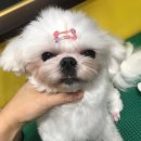 남구-035 이미지