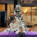 (주)발넷이야 | [대구근교애견카페]포토존 천국 가창 애견카페 발넷이야