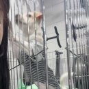 봉곡로-12 이미지