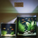 주식회사 사이펀 | 모비딕어항에 대한 모든 것: 자주 묻는 질문 Q&amp;A