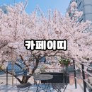 한국카 | [부산]벚꽃명소 카페이띠 내돈내산 솔직후기