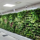 연희청소년센터(1) 이미지