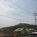 진밭식당 이미지