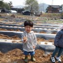 건호농장 이미지