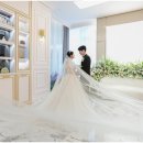 타임결혼정보 이미지