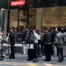 해림미트 | 귀여움도 재능이다!