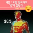 체온1도