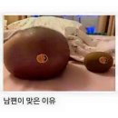 허성준의맛쌈 이미지