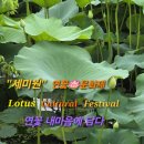 배다리(주교11호) 어린이공원 | 양평 세미원 연꽃축제 연꽃문화제 실시간 모습