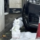 청신약국 이미지