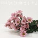스노우폭스플라워강남 이미지