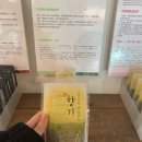 막걸리존 | 경주 노경보차라파 한옥카페 쌀막걸리슈페너 후기 (주차, 노키즈존, 동물체험공간)