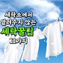 바른세탁소 이미지
