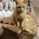 곤지암스포츠센터 이미지