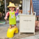 파쳄플라워 이미지