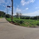 영천리 마을회관 이미지