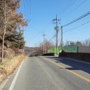 소나무 가축인공수정소 이미지