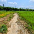 백구면사무소 이미지