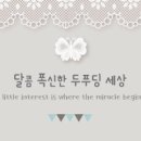 달콤언니 이미지