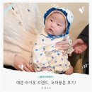 모이몰른 | 4개월 아기옷 예쁜 브랜드 모이몰른 에토우주복 후기