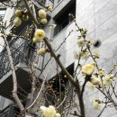 민트공인중개사사무소 이미지