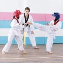 한국체대 MTA 태권도 이미지