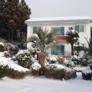 제주카사블랑카 이미지