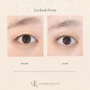 라베느래쉬