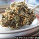 플랜에이법률사무소 | 법률사무소 디엘에이파이퍼 외국법자문법률사무소 믿고 맡길만한 곳이었어요