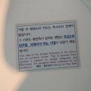 10/29 경주에서 열리는 2025 APEC으로 각국 정상들 방한, 대전 유성구 16회 유림공원국화축제 최고1 이미지