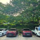 두 번째 벚꽃 이미지