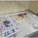 맑은클린 이미지