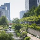 서울닭한마리 이미지