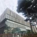 용인대 백호 태권도장 이미지