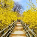 꽃동산어린이공원-2 이미지