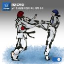 선문기획 | 태권도학과 실기 준비생들이 많이 보는 대학 순위