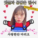 핸드드립홍삼드립백❤️ 진생쿱 편하게마시는건강차, 홍삼차추천