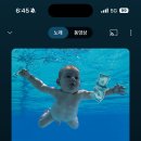 메이홈