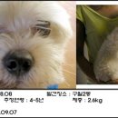 국희