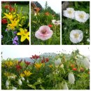 산북정원 이미지