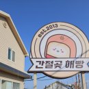 울산 여행 기념품 간절곶해빵 커스타드 팥버터 반반 후기