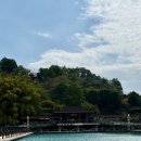 403002 | 2026. 대만 타이중 3일차 / 일일투어(일월담, 무지개마을, 고미습지, 펑지아야시장)