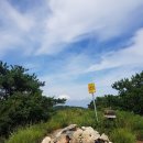 개림초등학교