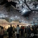 솔올정원 이미지