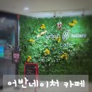 어반네이처 | 신비로운 비바리움이 가득한 부산 어반네이처 카페, 특별한 시간 보내기
