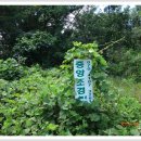 무안스포츠파크 이미지